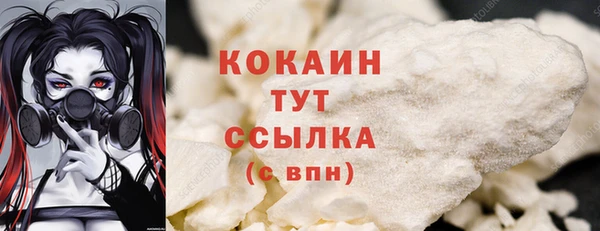 дживик Баксан