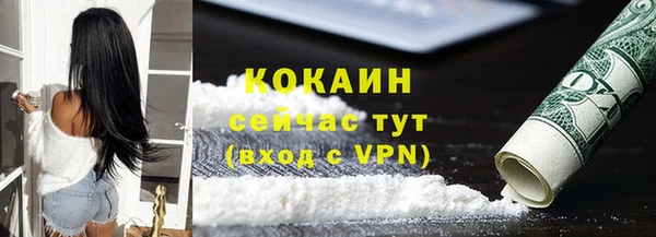 сатива Аркадак