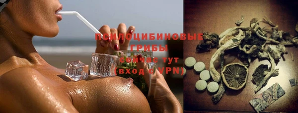индика Балахна