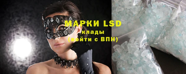 индика Балахна