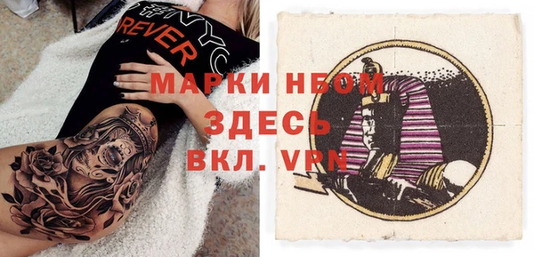 сатива Аркадак