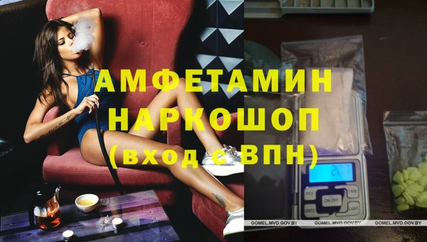 сатива Аркадак