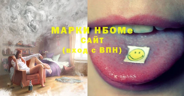 индика Балахна