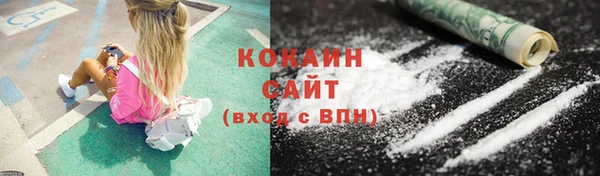 сатива Аркадак