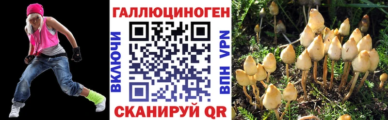 наркота hydra tor Псилоцибиновые грибы Psilocybine cubensis Новомосковск